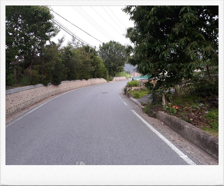  충주남산 깔딱고개 올라가는 계단 전까지만 산책