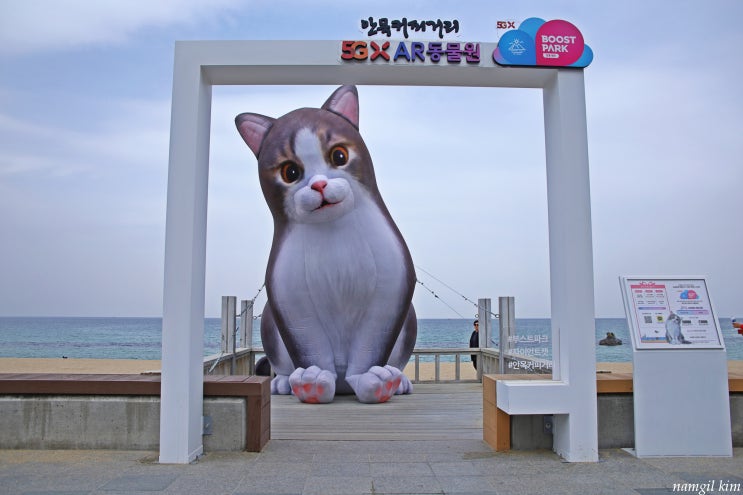강릉 인기 여행지, 안목해변 커피거리 강릉 인기 여행지, 안목해변 커피거리