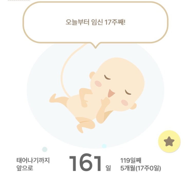  임신17주 증상
