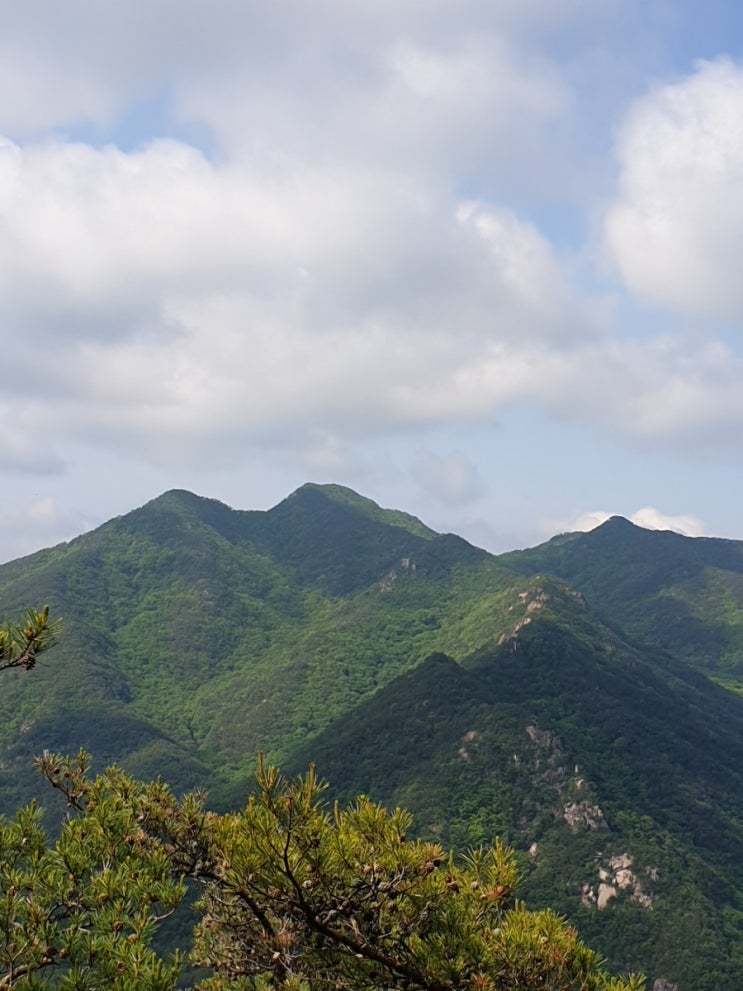 100대명산-39, 곡성 동악산 등산 코스(도림사주차장~도림사 계곡~청림구곡~해동무이~신선바위~동악산~원점)