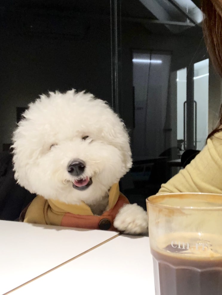  [남양주맛집]남양주 애견동반 식당 엠아르 추천해요
