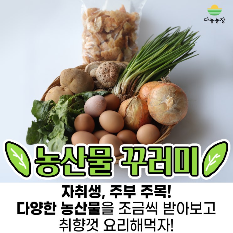  농산물직거래 믿을만한 다농농장에서!