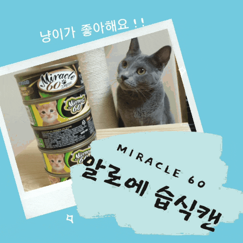  고양이 헤어볼 인생템 탐방 - 002 알로에 습식캔