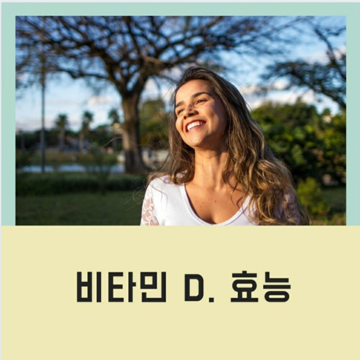  비타민 D의 효능 -1 & 대표적인 세가지 효능