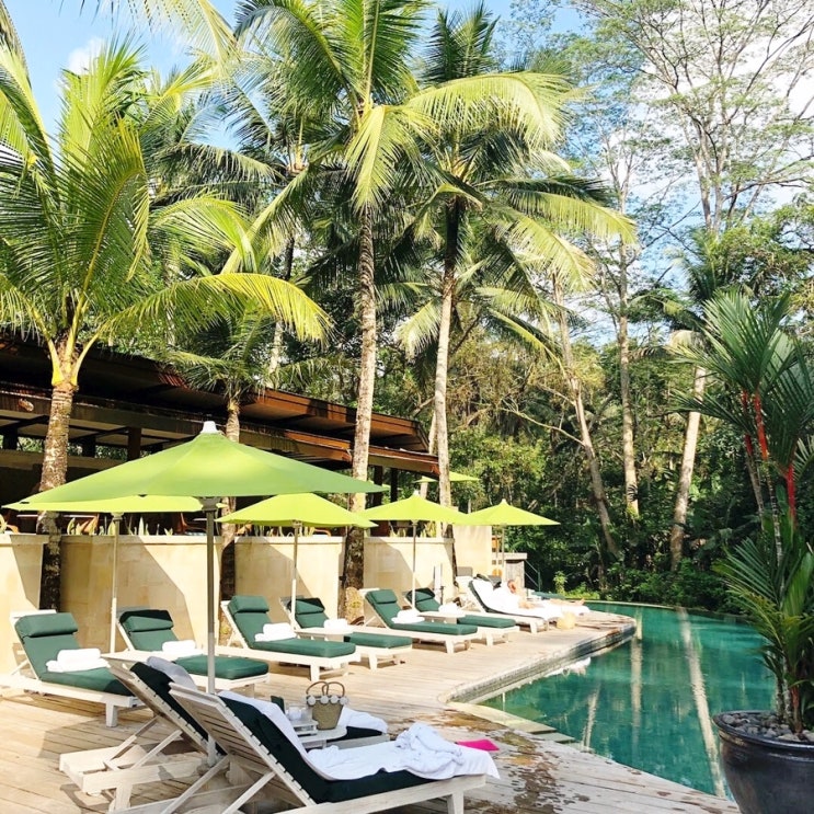  포시즌스 리조트 발리 앳 사얀 (Four Seasons Resort Bali at Sayan) 호텔 리조트 이용 후기