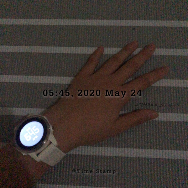 200524 아일월드마마 운동기록 다이어트식단일기) 새벽5시기상 그리고 홈트 걷기 총 3000칼로리 소모