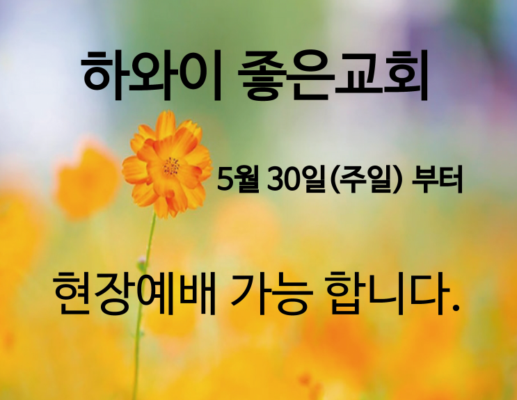  하와이 좋은교회 현장예배가 시작됩니다.