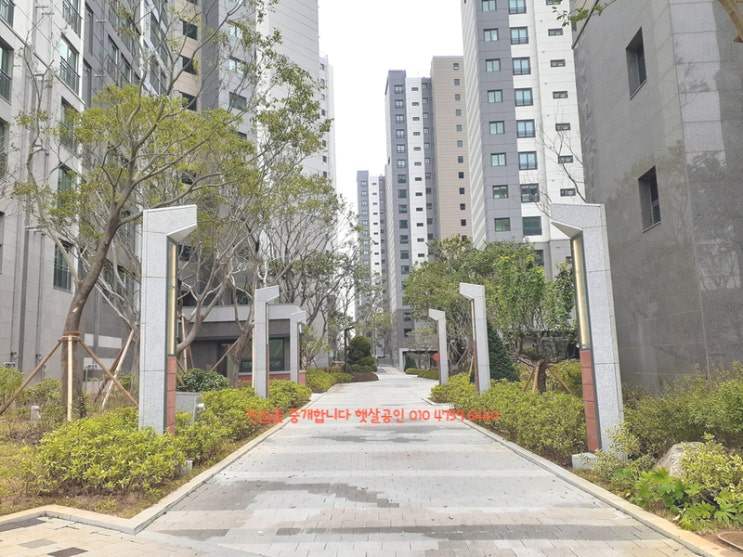  수색증산뉴타운 수색DMC롯데캐슬더퍼스트 전세 입지좋은 새아파트 이사오세요