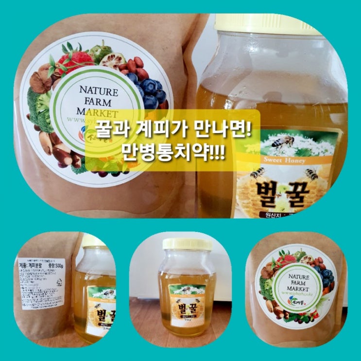 건강]꿀과 계피가 만나면!? 만병통치약!!!