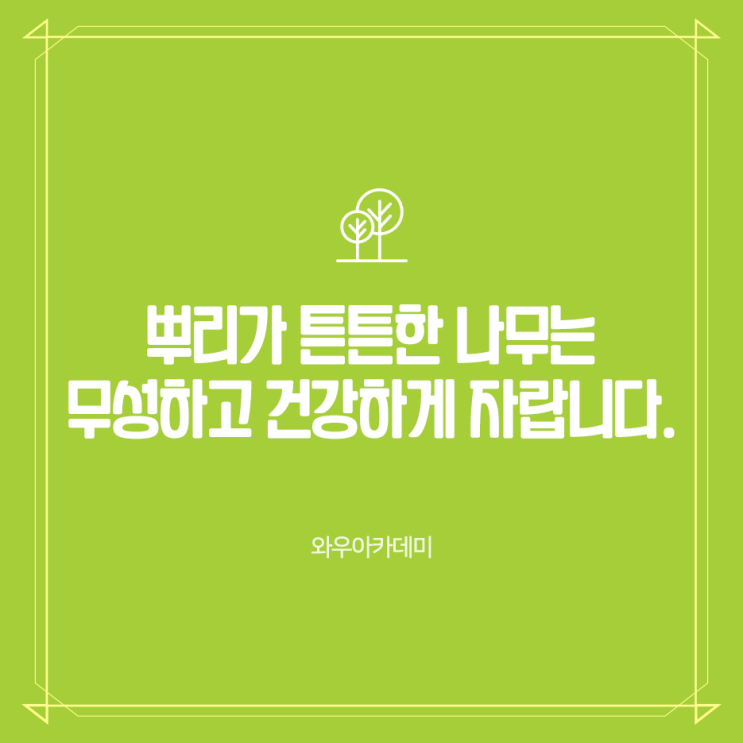  진월동 초등영어 꼼꼼한 지도가 가능한 와우아카데미 알아봐요