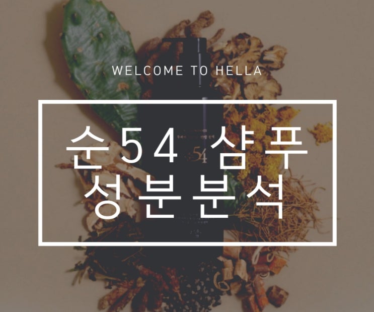  온수움 순 54 샴푸의 성분 분석 & 뭐하는 성분인지 탈탈 털어드림