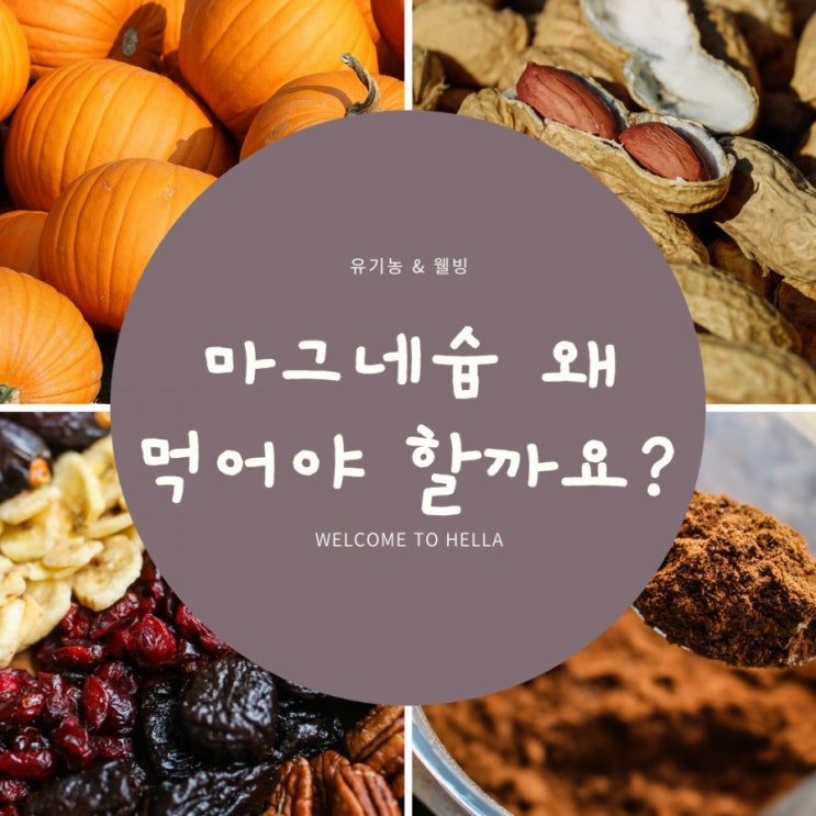  마그네슘 magnesium [ 천연 진정제를 소개합니다 ] 심장영양제,뼈영양제,신경영양제,뇌영양제