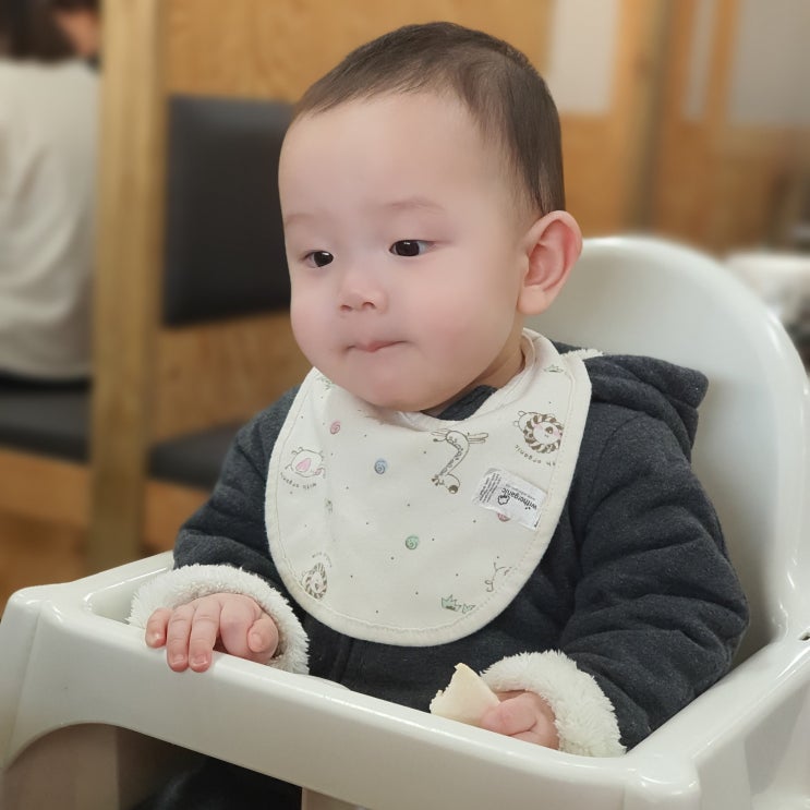 우리 아이 성장기록 250일부터 300일