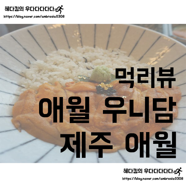  [먹리뷰]애월 우니담/전복솥밥과 성게덮밥이 맛있는 우니담/뷰 맛집은 덤