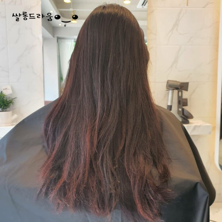  핑크바이올렛 염색