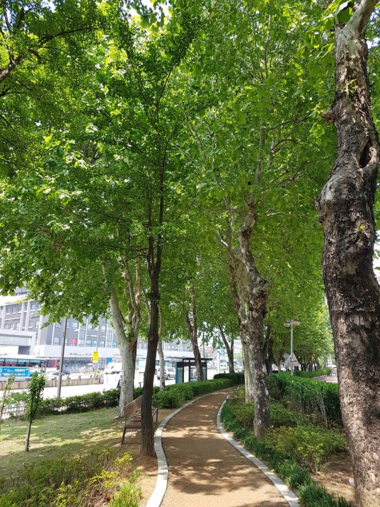  송파 가락 산책: 송파역 공원
