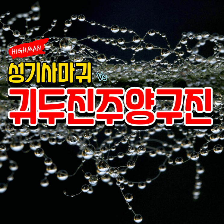  성기사마귀 vs 진주양구진