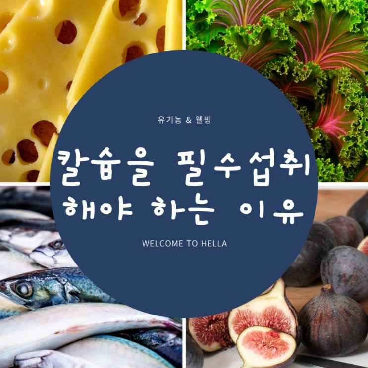  칼슘calcium [ 뼈를 탄탄하게 해주는 비타민D 짝꿍 ]