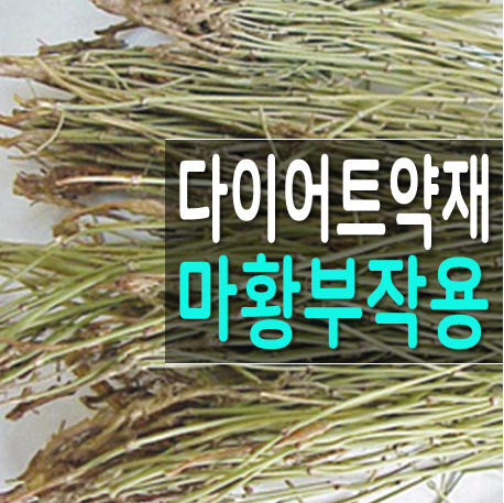  다이어트한약재 마황 부작용 및 효능 대한 고찰