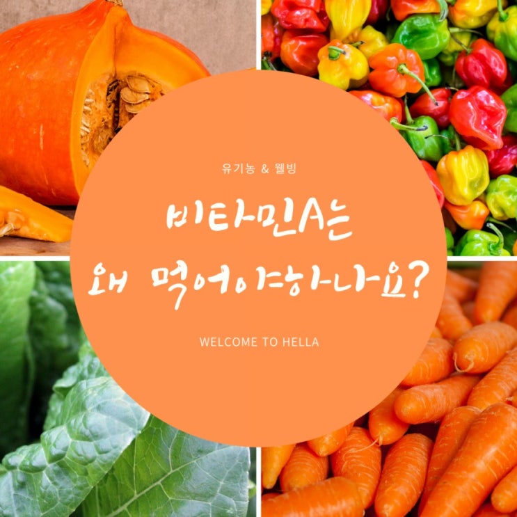  비타민 Vitamin A  [ 눈 영양제 추천, 피부 영양제 비타민A ]