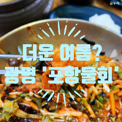  광명맛집 물회, 여름 추천메뉴 광명 포항물회집 내돈내산 솔직후기