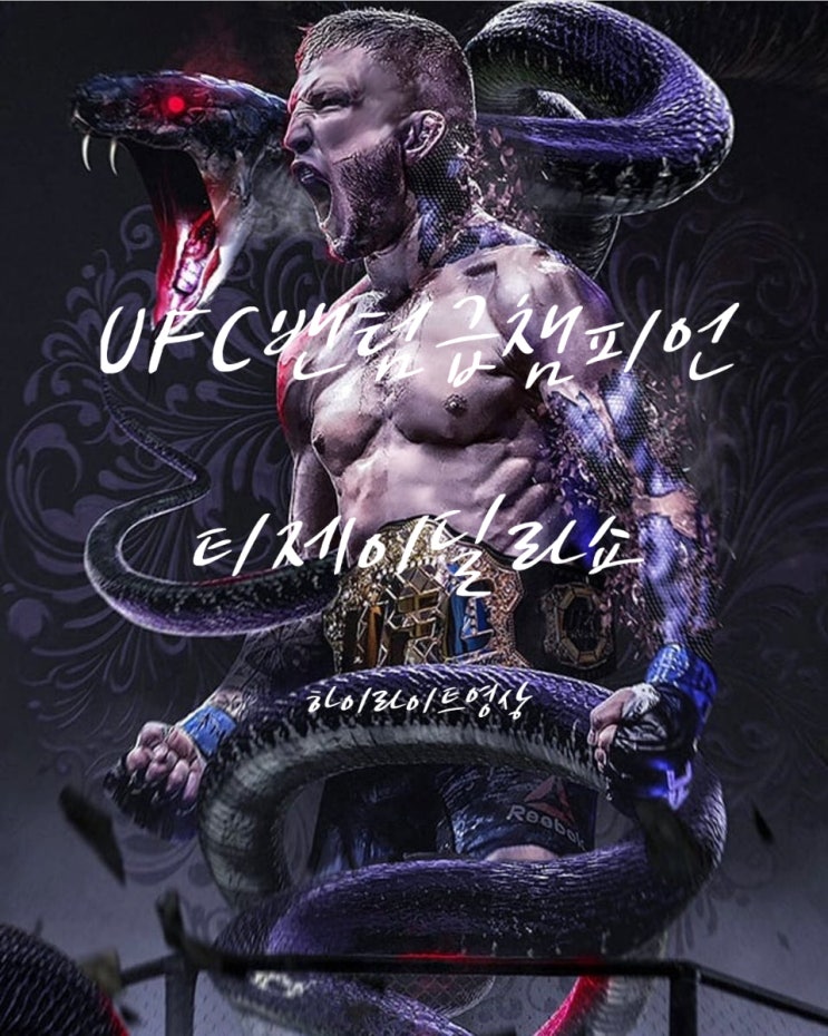  UFC밴텀급챔피언 티제이 딜라쇼 하이라이트 영상