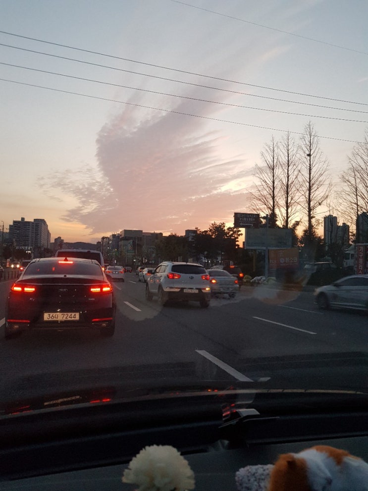  야경