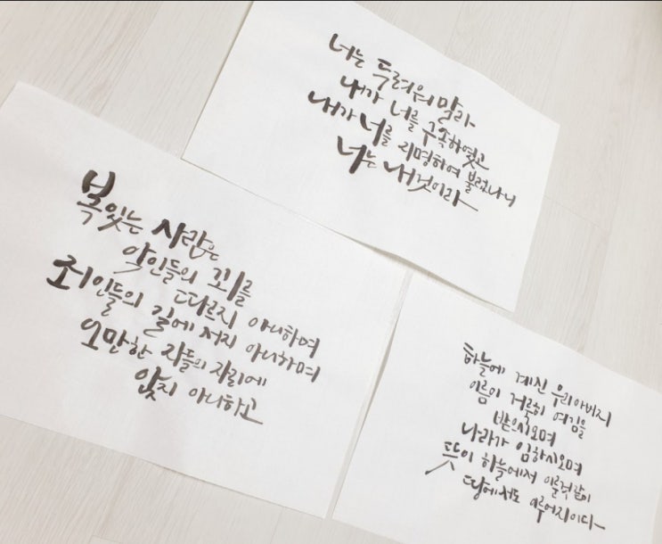 감사 "나의 기쁨이 너에게 있구나"