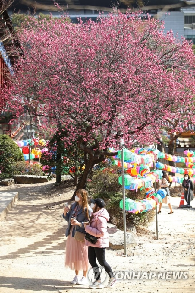 숙박할인 쿠폰에 내국인도 에어비앤비 허용..국내 관광 살린다 숙박할인 쿠폰에 내국인도 에어비앤비 허용..국내 관광 살린다