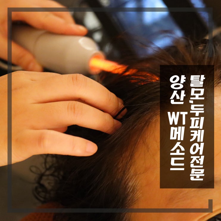  양산 탈모 부산, 창원 두피 케어 스켈링 WT메소드