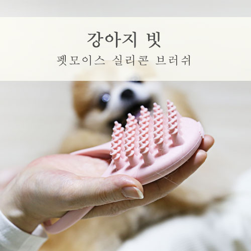  강아지빗 털빠짐 관리하기 쉬운 펫모이스 실리콘 브러쉬
