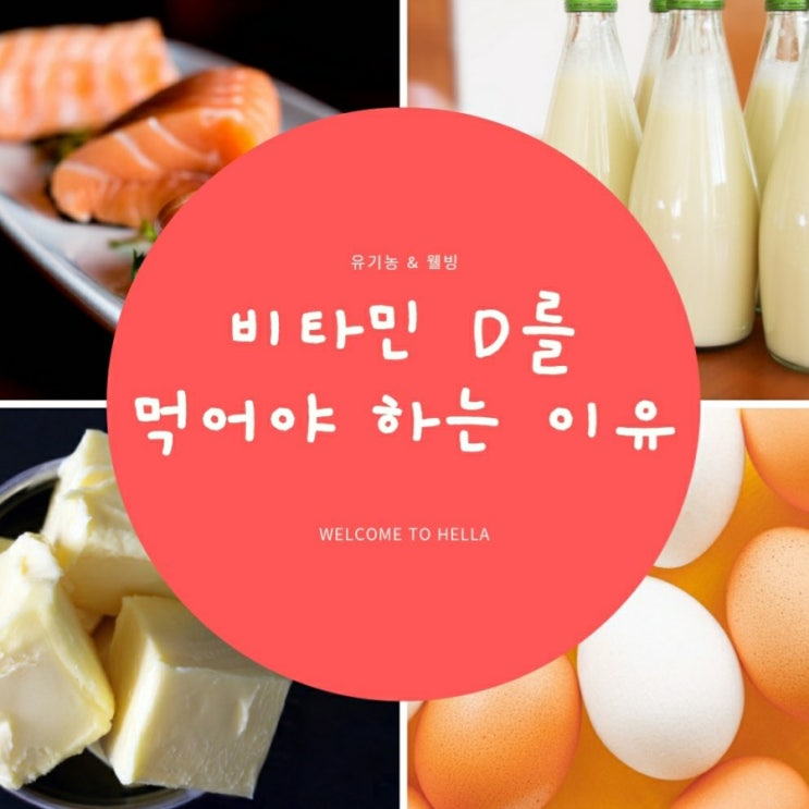  비타민 D (햇빛 비타민)  [ 비타민D 정보센터 ]