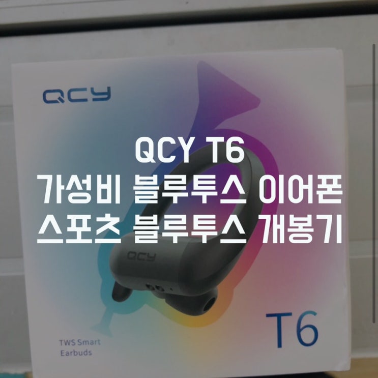  [QCY T6 개봉기] qoo10 직구 QCY T6 언박싱 초가성비 블투투스 이어폰 스포츠블루투스이어폰 이어후크