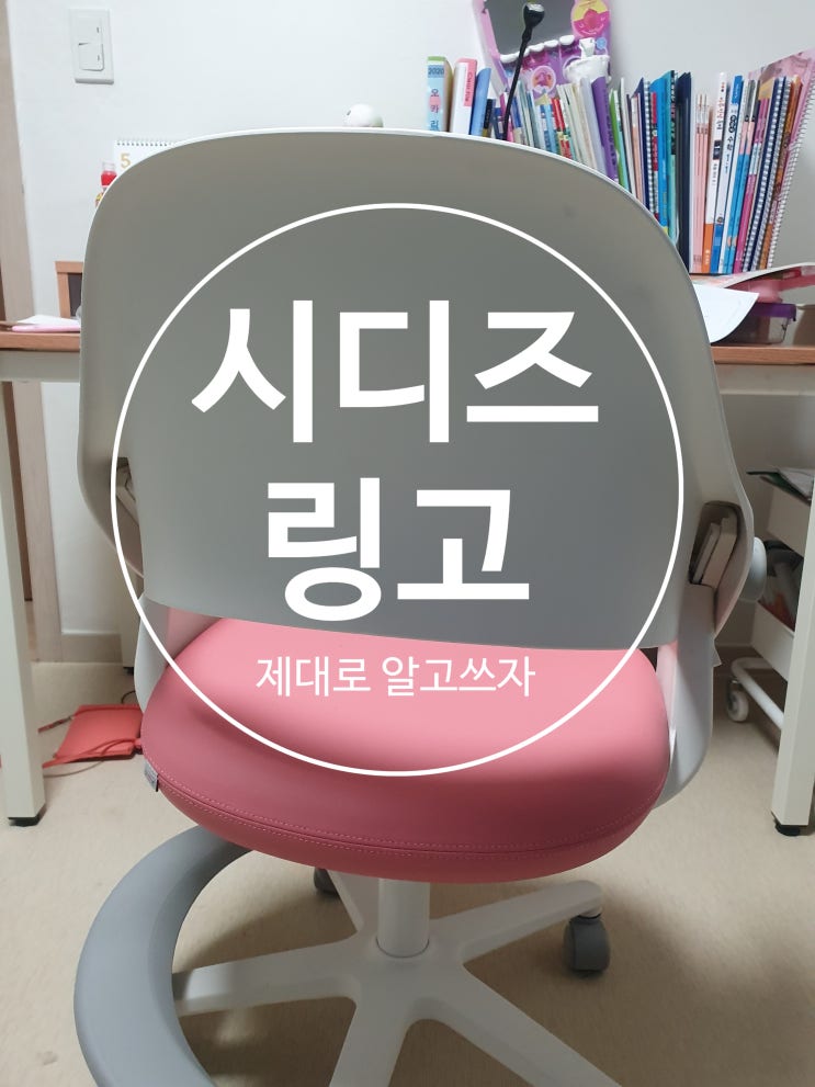 시디즈링고 그로잉 의자폭조절 초등 혼자 가능해요.