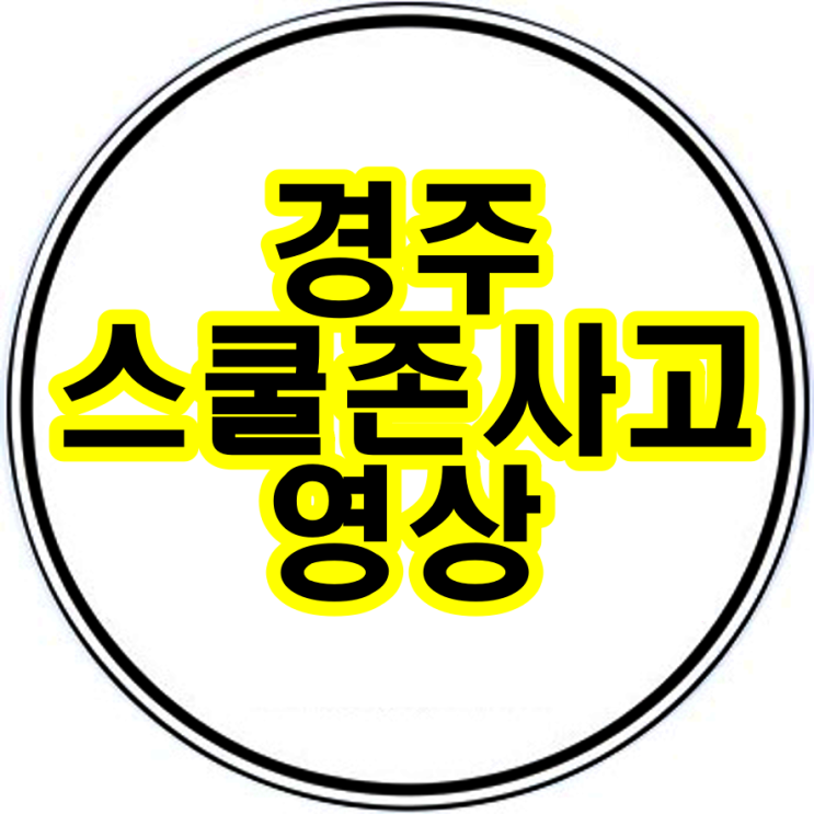  경주스쿨존사고 영상 반대편시점 살인미수?