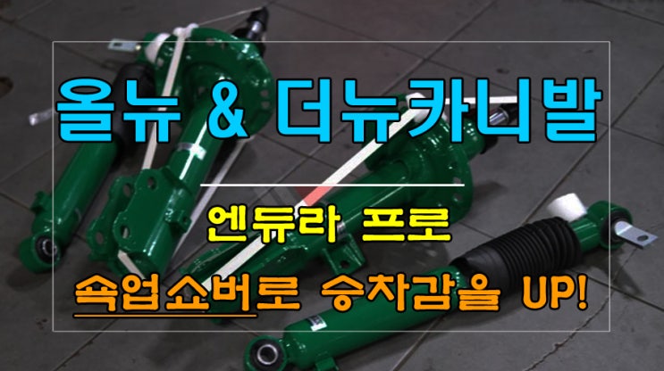  올뉴 & 더뉴 카니발의 승차감개선 끝판왕 테인 엔듀라프로 쇼바 튜닝 [인천 튜닝샵 와츠업]