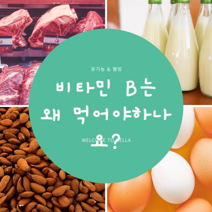  비타민 Vitamin B [ 활력 비타민 에너지 뿜뿜 비타민B!! ]
