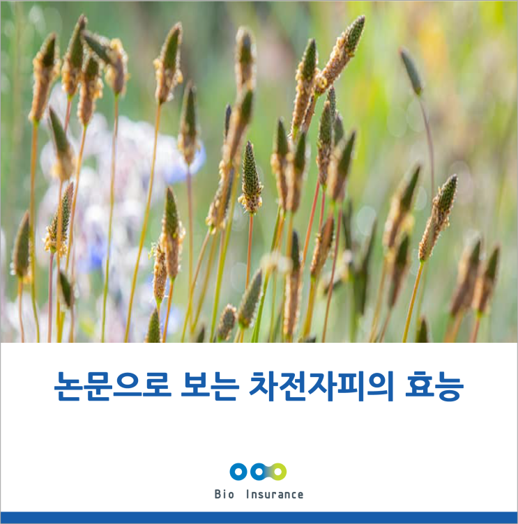  차전자피? 그게 뭐야? 효능은??