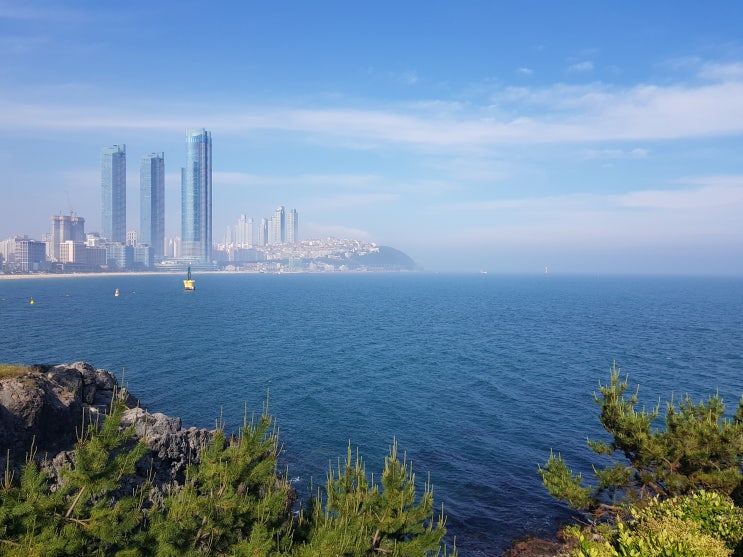 부산 동백섬과 해운대 해수욕장 즐기기