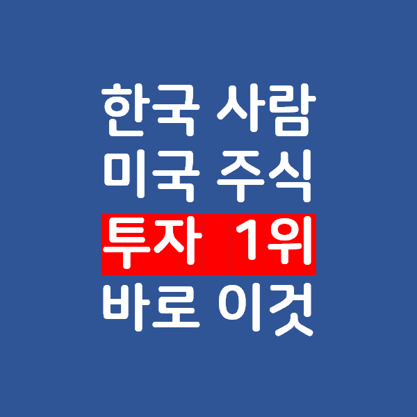 한국 사람의 미국 주식 투자 종목 1위는 바로 OO 이것!