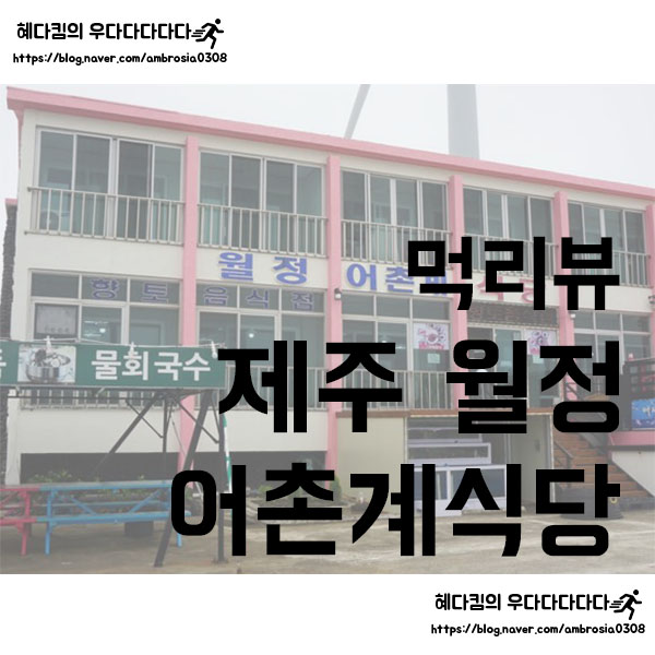  [먹리뷰]월정어촌계식당/제주 월정리에 물회가 맛있는 식당