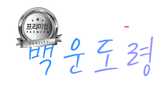  서울점집 백운도령님과 전화사주 리뷰 남김니다