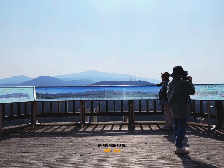 절물자연휴양림에서 절물오름 전망대를 오르다! 한라산이 한눈에!