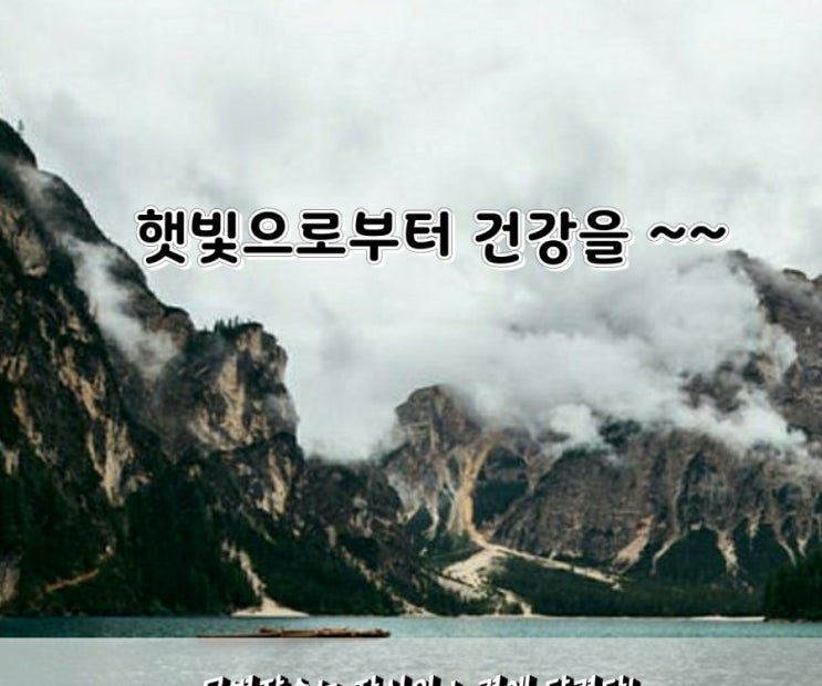 건강에 좋은 햇빛을 쬐다~ 건강에 좋은 햇빛을 쬐다~