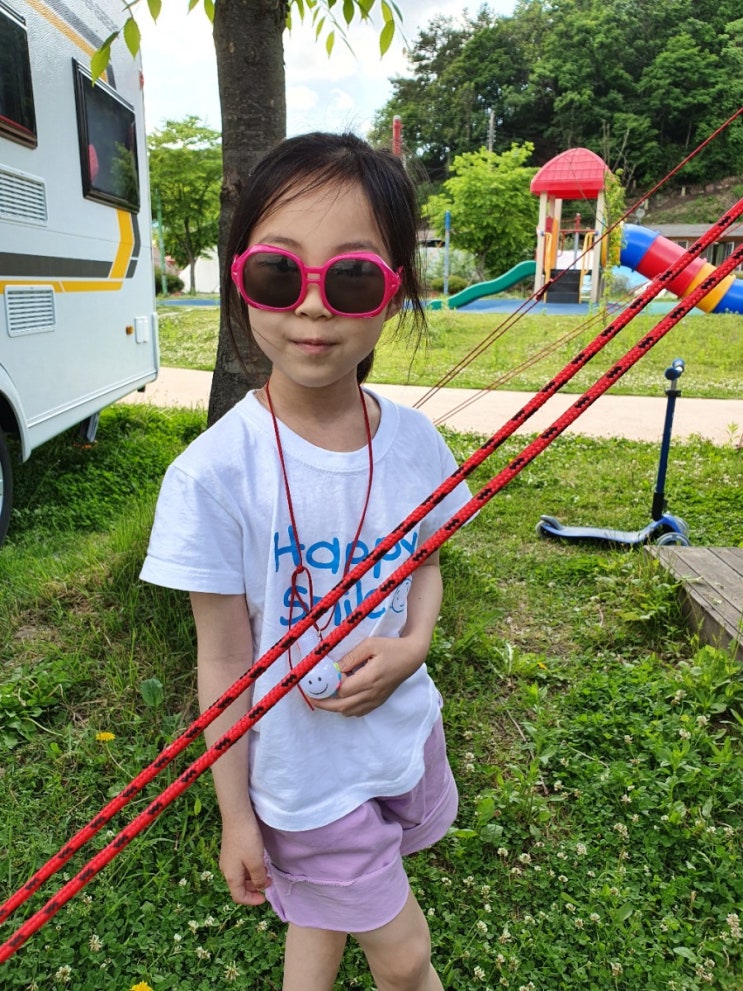  <5월 23,24일> 카라반에 반사스티커를 붙인 후기, 덧밭에는 씨앗보다 모종으로 심자