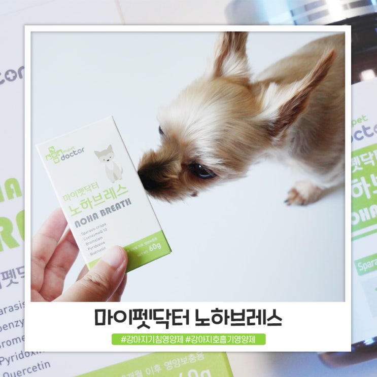 강아지기침영양제 맛있어서 잘먹는 마이펫닥터 노하브레스 강아지기침영양제 맛있어서 잘먹는 마이펫닥터 노하브레스