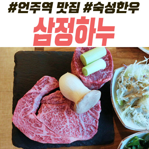 언주역 맛집 숙성한우 그 맛의 진실 삼정하누