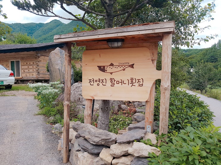  전영진어가 강원도 정선 송어회맛집(구.전영진할머니횟집) 예약필수!?
