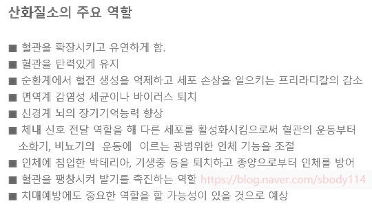  혈액순환 건강에 영향을 미치는 혈류속도와 산화질소