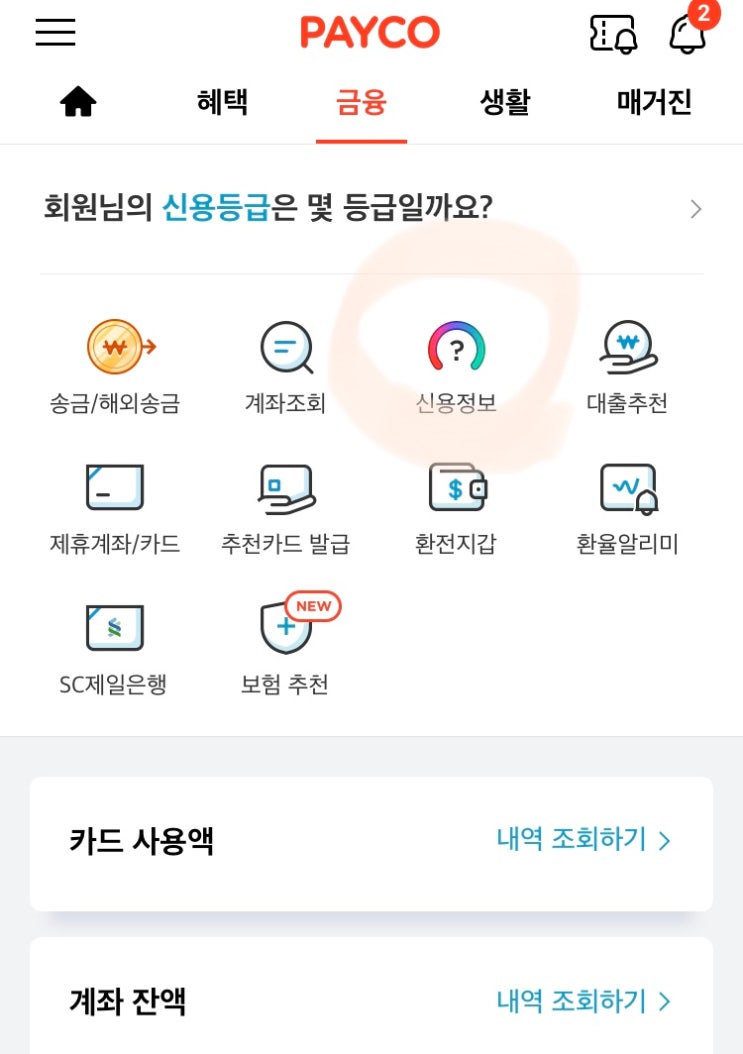 개인 카드 보유현황 확인